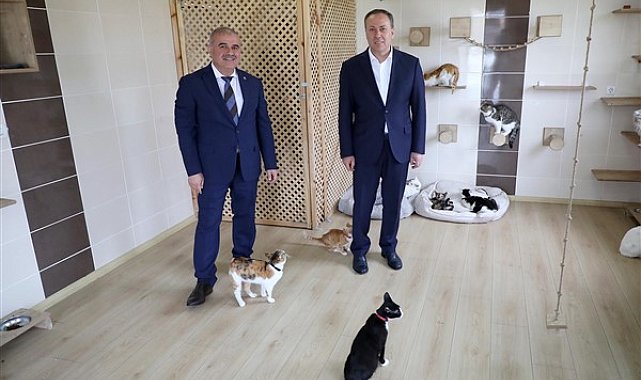 Milletvekili Kaya, Sokak Hayvanları Rehabilitasyon Merkezi’ni ziyaret etti