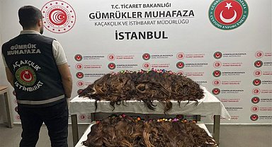 Sabiha Gökçen Havalimanı’nda 68 kilo insan saçı ele geçirildi