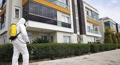 Yaz aylarında haşereler ve kemirgenlere dikkat