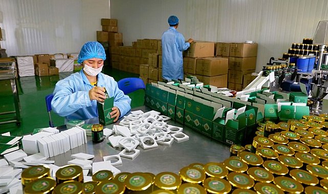 162 şirket, 5 ayda sınır bölgelerine 19 milyar yuanlık yatırım yaptı