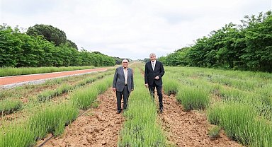 Başkan Yüce: “Botanik Park projemizle vadiyi yaşam merkezi haline taşıyacağız”