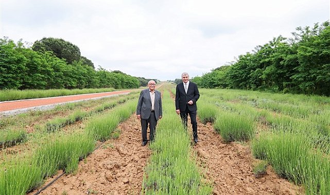 Başkan Yüce: “Botanik Park projemizle vadiyi yaşam merkezi haline taşıyacağız”