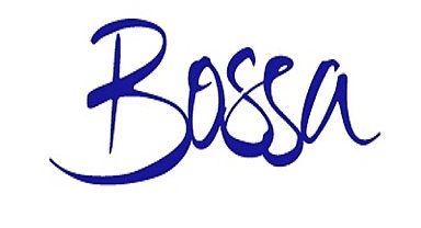 Bossa'nın SPK başvurusuna onay