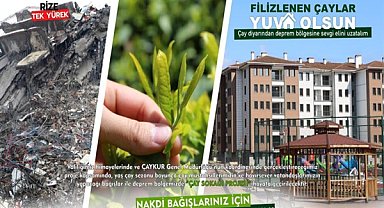 Filizlenen çaylar “yuva” oluyor