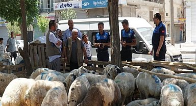 Haliliye Belediyesi kurban bayramında 635 personeliyle sahada