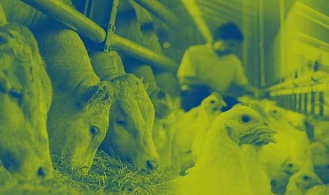 Hayvan beslemenin liderinden örnek sürdürülebilirlik raporu