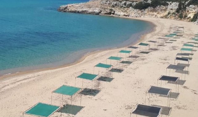 İtalyan Koyu Mecidiye'ye kazandırıldı
