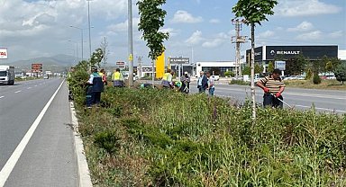Kayseri'de ilkbahar dönemi yabancı otlarla mücadele çalışmaları başladı