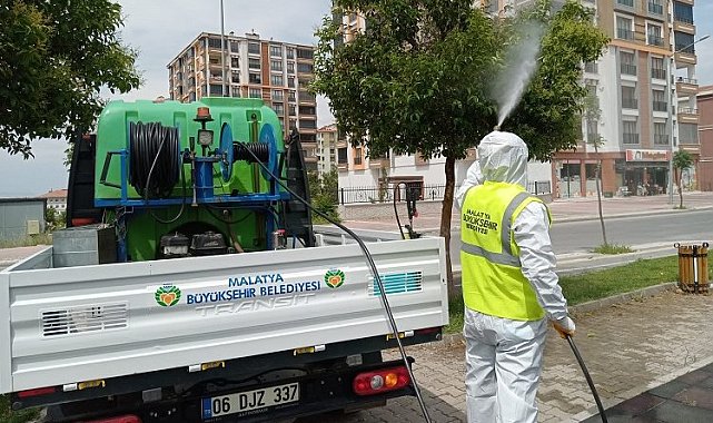 Malatya haşereyle yoğun mücadele veriyor