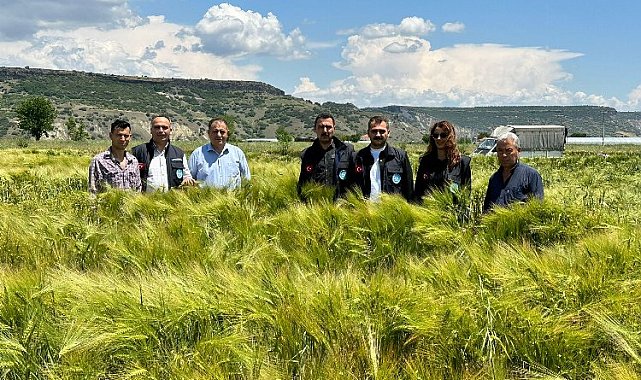 Manisa'da tohumların verimliliği yüzleri güldürüyor