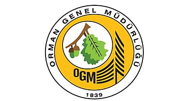 Marmaris’te orman yangını