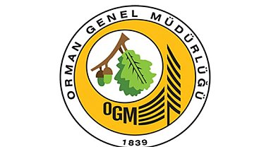 Marmaris'teki orman yangını kontrol altına alındı