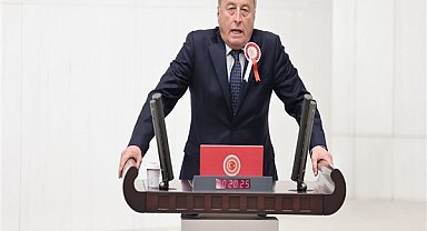 Milletvekili Olgun:
