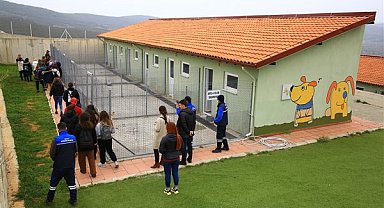 Muğla Büyükşehir, Geçici Hayvan Bakımevi can dostlar için çalışıyor