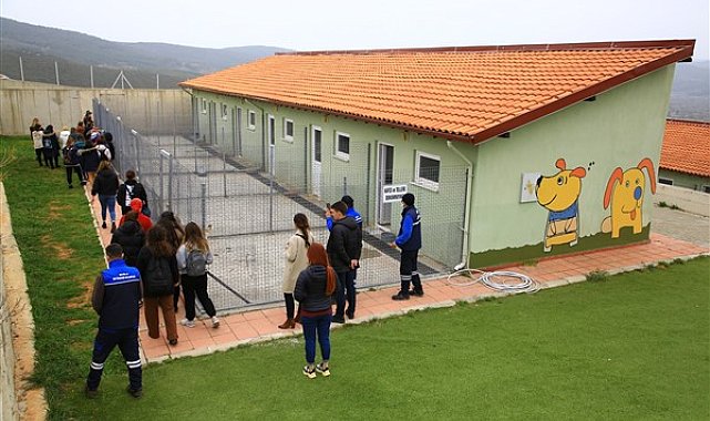 Muğla Büyükşehir, Geçici Hayvan Bakımevi can dostlar için çalışıyor