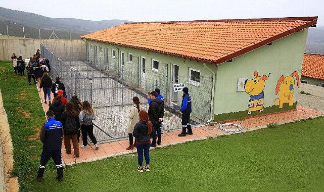 Muğla'da can dostların kapısı...