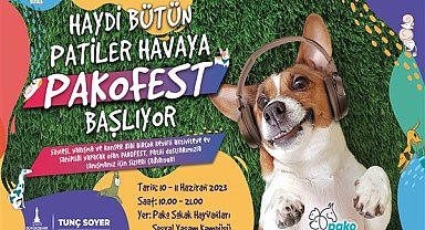 Pati dostları,