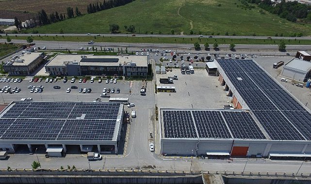 Santral devrede girdi, 5 bin 600 ağaç kurtuldu