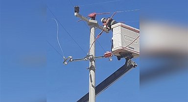 Toroslar EDAŞ, elektrik nakil hattı yalıtımı ile kuş çarpılmalarını önlüyor