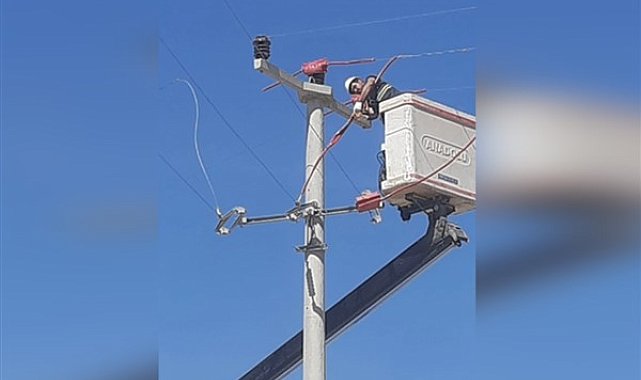 Toroslar EDAŞ, elektrik nakil hattı yalıtımı ile kuş çarpılmalarını önlüyor
