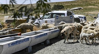 ABB'nin kırsal bölgelerde sıvat desteği sürüyor