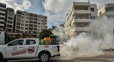 Adana Büyükşehir Belediyesi, vektör, haşere ve sinekle mücadeleyi sürdürüyor