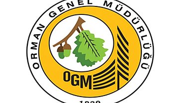 Antalya, Manisa ve Kahramanmaraş'ta devam eden orman yangınlarına müdahale sürüyor