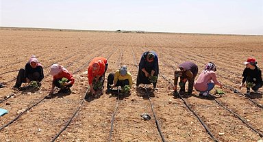 Başkan Altay 2024 tarımsal destek kayıtlarının başladığını açıkladı