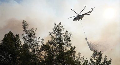 Başkan Tokat, yangın bölgesini inceledi