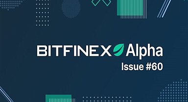 Bitcoin piyasaları dirençli Hodler alımlarıyla destekleniyor