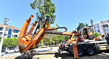 Buca Metrosu’nda istasyon inşaatları öncesinde ağaçlar geçici olarak taşınıyor