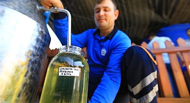 Büyükşehir distilasyon tesisi Muğla’nın aromatik bitkilerini işliyor