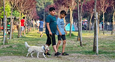 Çubuk-1 Barajı Rekreasyon Alanı 15 binden fazla kişiyi ağırladı