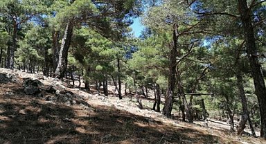 Danıştay Çukuralan kararını bozdu