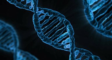 DNA; sudan, nefesten ya da ayak izinden toplanabilir mi?