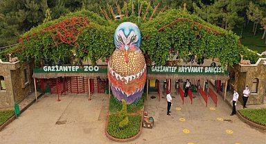 Gaziantep Doğal Yaşam Parkı, bayram tatilinde yüz bin ziyaretçi ağırladı