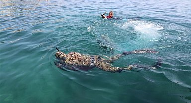 Gündoğan’da deniz dibi temizliği