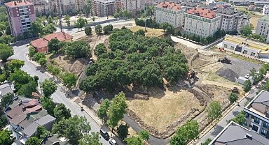 Gürpınar kent ormanı için çalışmalar başladı