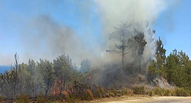 Hatay’da orman yangını