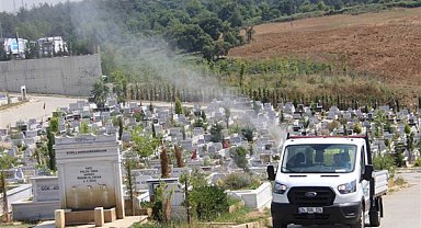 İBB ekileri, Aedas Asya Kaplan sivrisineği ile mücadele ediyor