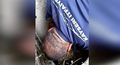 İtfaiye ekipleri, mahsur kalan kaplumbağayı kurtardı