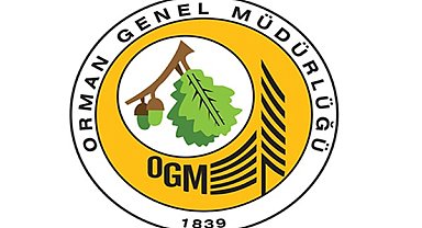 İzmir'de orman yangını