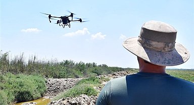 İzmir’de sivrisinek ile dronlu mücadele