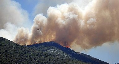 İzmir ve Kütahya'daki orman yangınlarına müdahale sürüyor