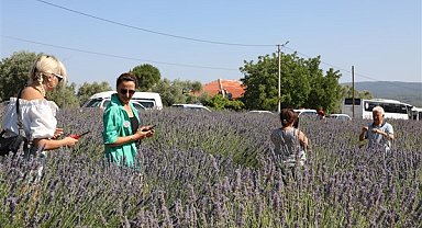 Koku Vadisi Lavanta Bahçesi yaklaşık 10 bin misafire ev sahipliği yaptı