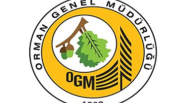 Milas'taki orman yangını kontrol altına alındı