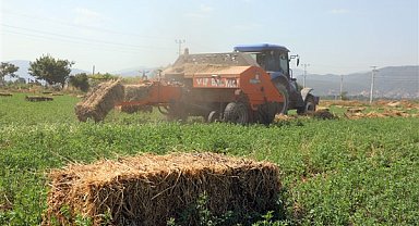 Muğla’da 434 dekar araziden elde edilen kaba yem üreticiye dağıtılacak