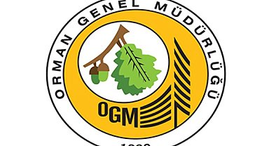 Muğla'da orman yangını