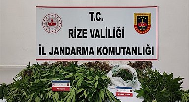 Rize'de Haziran ayı aramalar ve yol kontrolü faaliyetleri