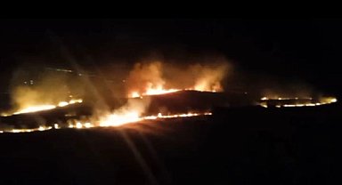 Şanlıurfa’da tarla yangını